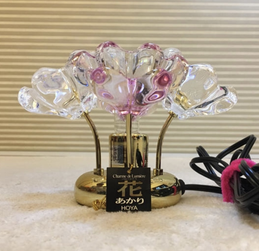 Yahoo!オークション -「hoya 花あかり」の落札相場・落札価格 Yahoo!オークション -「hoya 花あかり」の落札相場・落札価格