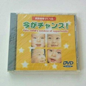 送料無料 ヤ 新品 DWE 英語環境 『今がチャンス』 ディズニー英語 英語教材 英語教育
