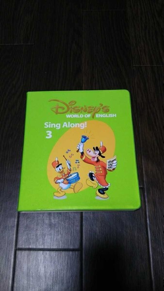 送料無料 ヤ 美品 ブラシ版 シングアロング DWE ディズニー英語 DVD 3 字幕 ワールドファミリーイングリッシュ 子ども英語 英語教材