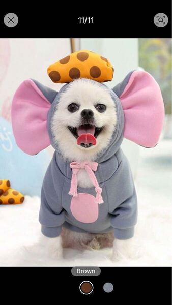 犬服 コスプレ コスチューム ネズミ チーズ M