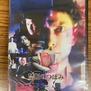 1990年ゴヤ賞で4部門を受賞した文芸作品 フェルナンド・トルエパ監督作品 ジェフ・ゴールドプラム主演 禁断のつぼみ DVD