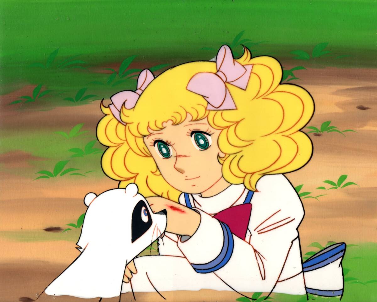 キャンディ・キャンディ アニメ セル画 - メルカリ - セル画 キャンディ・キャンディ アニメ セル画 - メルカリ - セル画