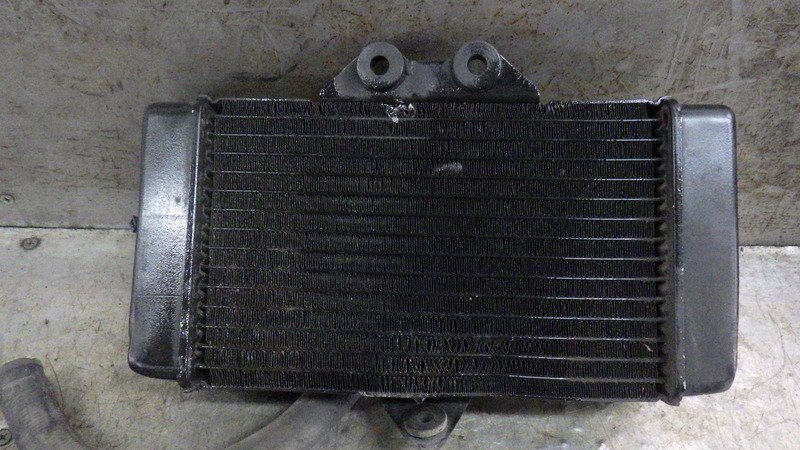RGA-348A VTR250 キャブ車 純正 ラジエーター リザーブタンク サーモスタット ジャンク MC33-100 検索 ホンダ RGA-348A VTR250 キャブ車 純正 ラジエーター リザーブタンク サーモスタット ジャンク MC33-100 検索 ホンダ