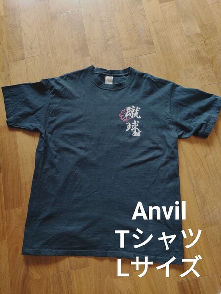 anvil メンズ 蹴球 サッカーばか プリント 半袖 Tシャツ ブラック L