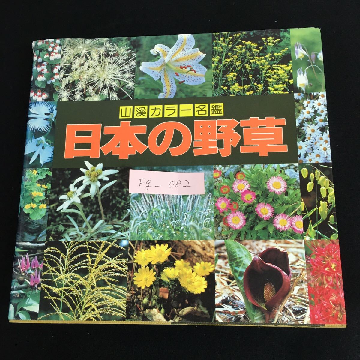 2025年最新】Yahoo!オークション -日本の野草(本、雑誌)の中古品 2025年最新】Yahoo!オークション -日本の野草(本、雑誌)の中古品