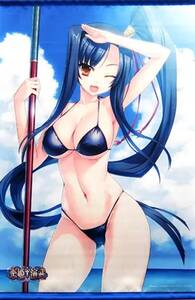 PS4 PS3 恋姫†演武 ソフマップ購入特典 関羽 B2タペストリー