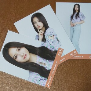 乃木坂46 井上和 フリルTシャツ 会場限定 生写真 3種 2024.September-Ⅲ