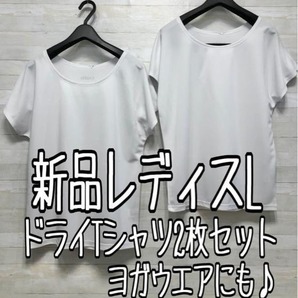 新品☆レデイスL白系♪AddElm×ATSUGI♪ドライTシャツ2枚セット♪ヨガウエアにも☆x727