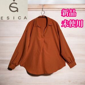 エシカ 新品未使用 プルオーバー 長袖ブラウス チュニック オレンジブラウン