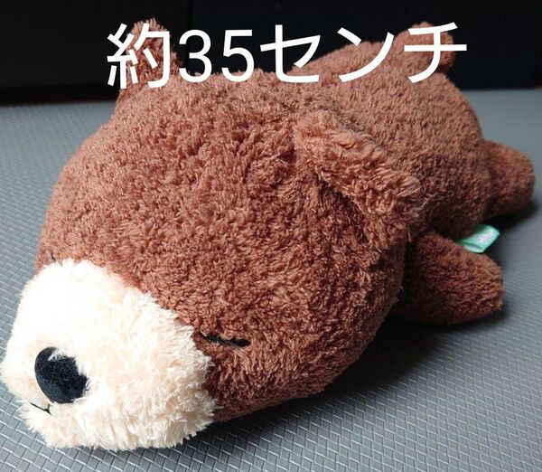 すやすやねむっこ AMUFUN クマ ぬいぐるみ 未使用