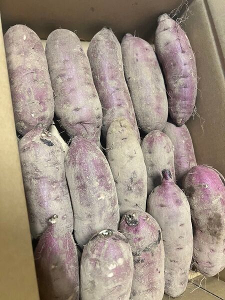 茨城県産農家直送 紅はるか5キロ弱 A品