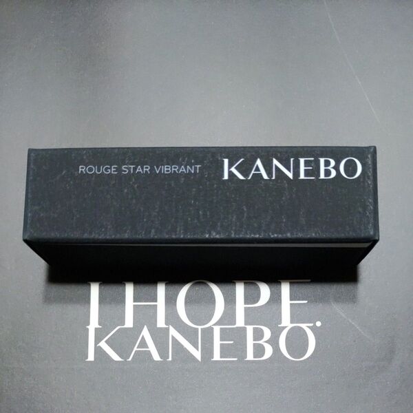 カネボウ KANEBO ルージュスターヴァイブラント V09 新品