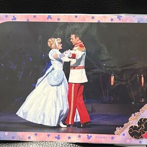 ディズニー スペシャルフォト 2015 バレンタインナイト