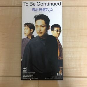 To Be Continued/君だけを見ていた