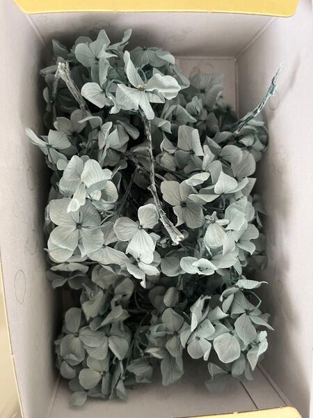 プリザーブドフラワー アンデスアジサイ 紫陽花 アジサイ ミストグリーン