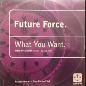 12inchレコード　FUTURE FORCE / WHAT YOU WANT (MARK PICCHIOTTI MIXES)