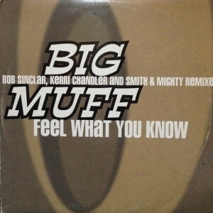 12inchX2レコード　BIG MUFF / FEEL WHAT YOU KNOW