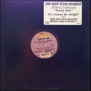 12inchレコード　DEEP ZONE / THE DEEP ZONE REMIXES feat. CEYBIL JEFFERIES