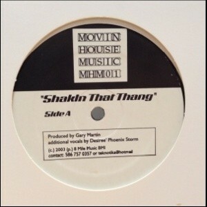 12inchレコード　GARY MARTIN / SHAKIN THAT THANG