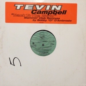 12inchレコード　TEVIN CAMPBELL / BACK TO THE WORLD (SLAMMIN' CLUB REMIXES)