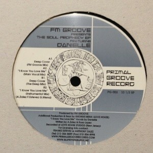 12inchレコード　FM GROOVE / THE SOUL PROPHECY EP