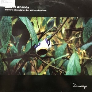 12inchレコード　GABRIEL ANANDA / WAHREND DIE ANDEREN DEN MULL RAUSBRACHTEN