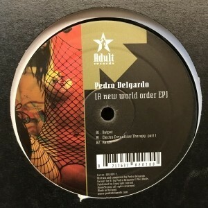 12inchレコード　PEDRO DELGARDO / A NEW WORLD ORDER EP