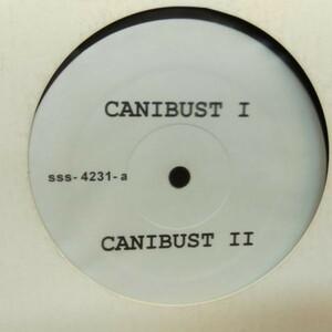 12inchレコード　 CANIBUS / CANIBUST II