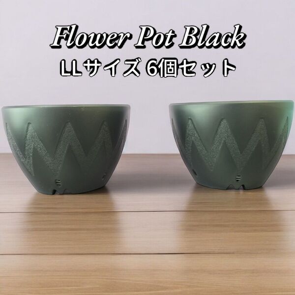植木鉢 6個セット 12cmサイズ プラ鉢 園芸ラベル アガベ グラキリス LLサイズ 特大 パキプス invisible