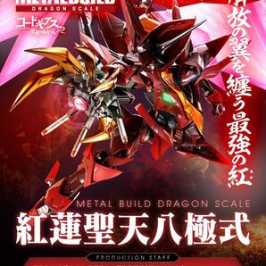 METAL BUILD DRAGON SCALE 紅蓮聖天八極式