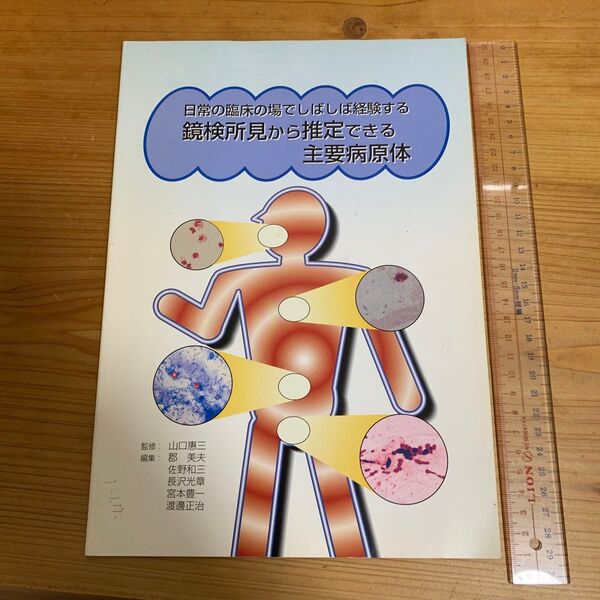 日常の臨床の場でしばしば経験する 鏡検所見から推定できる主要病原体