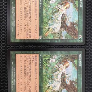 MTG 種蒔き時/Seedtime 日2 ジャッジメント JUD