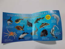 海洋堂 水族館限定 リニューアル版 日本の水族館 イロワケイルカ 　イルカ　人気　生物　動物　フィギュア_画像3