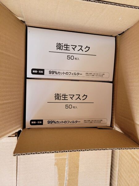 箱 不織布マスク 50枚入り 40袋(2000枚)セット