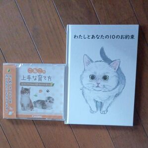 こねこの上手な育て方 DVD わたしとあなたの10のお約束 絵本