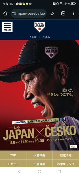 ラグザス 侍ジャパンシリーズ 2024 チケット 2枚 バンテリンドームナゴヤ 11月9日(土) パノラマ外野指定席ライト