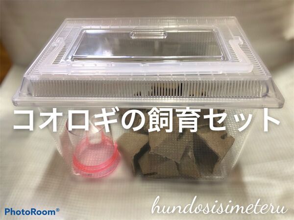 コオロギの飼育セット 飼育ケース 給水器 高級フード シェルター スプーン