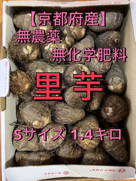 農家直送!里芋Sサイズ1.4キロ 無農薬無化学肥料栽培