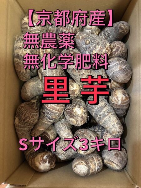 農家直送!里芋Sサイズ3キロ 無農薬無化学肥料栽培
