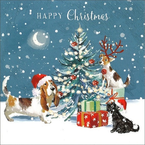 クリスマス プレゼントと犬 グリーティングカード イギリス 製 ポストカード 絵はがき 犬 ドック 雑貨 小物 パタミン クリスマスカード
