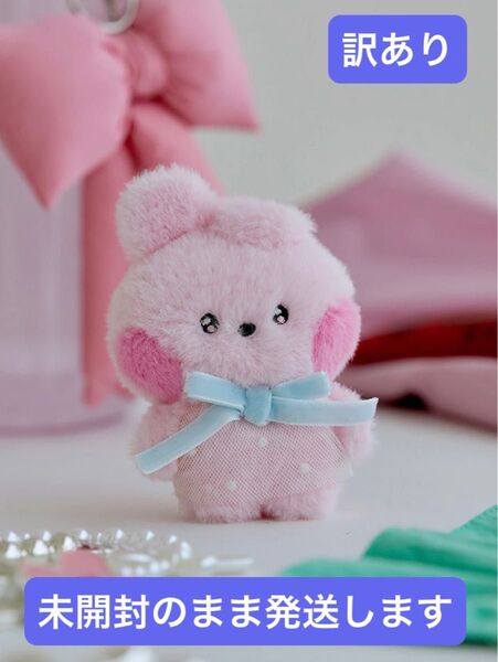BTS BT21mini minini ぬいぐるみ(RIBBON) COOKY JUNGKOOK ジョングク【訳あり】
