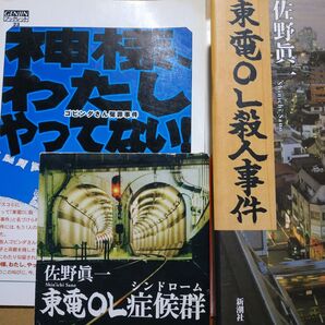 東電OL殺人 神様わたしやってないゴピンタさん冤罪事件 東電OL殺人事件/佐野眞一 東電OL症候群/佐野眞一 渋谷 街娼