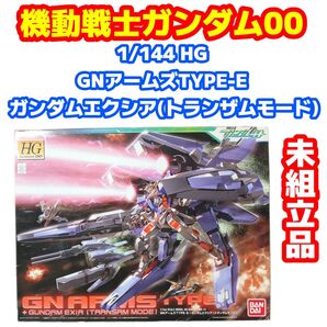 1/144 HG GNアームズTYPE-E +ガンダムエクシア(トランザム)