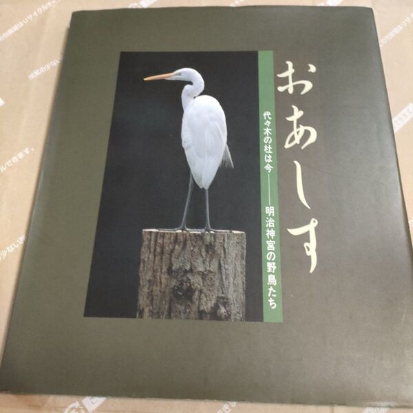 写真集 初版 おあしす代々木の杜は今明治神宮の野鳥たち