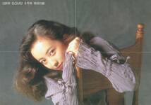 特別付録　セクシーピンナップポスター　高橋由美子　雛形あきこ　1995年_画像1