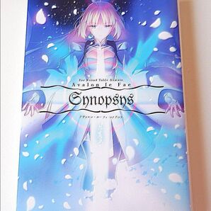 型月稿本 Avalon le Fae Synopsys/奈須きのこ