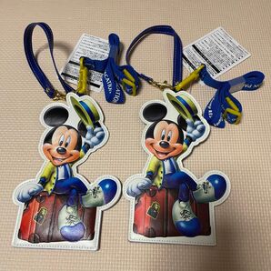 ディズニーリゾート バケーションパッケージ チケットホルダー !!未使用!!