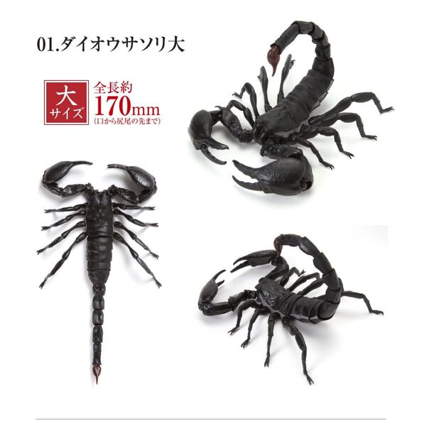 いきもの大図鑑 サソリ ダイオウサソリ 大