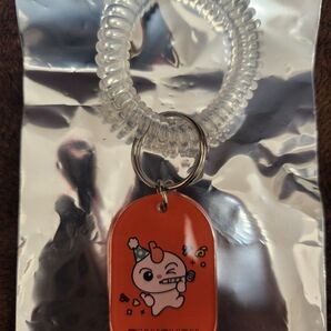 TEEZ-MON RANDOM ACRYLIC KEY RING