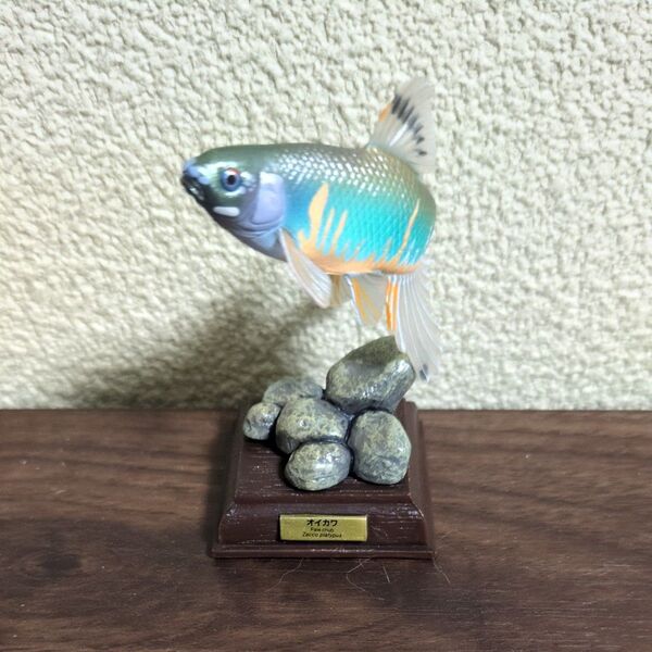 ネイチャーテクニカラー 日本の清流 増補特装版 オイカワ カプセルフィギュア